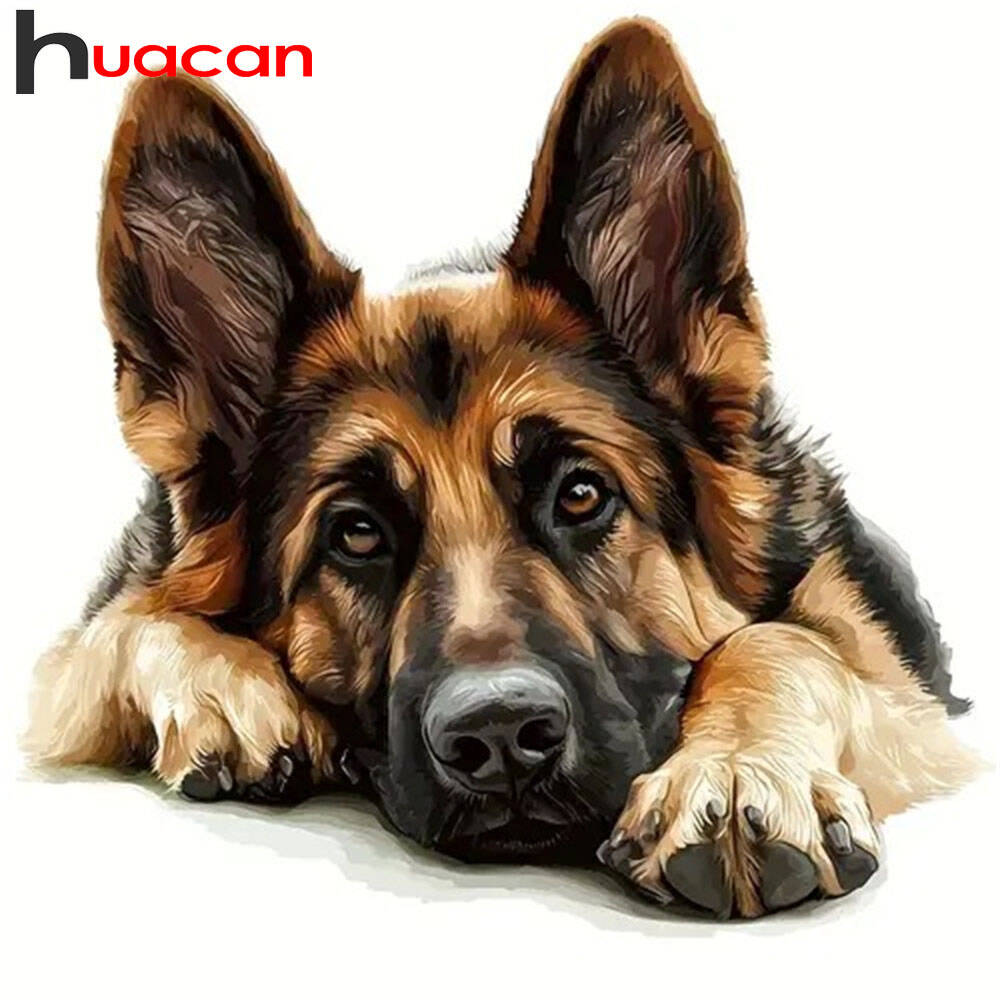 Germany Home Decor - Huacan 2025 nova coleção pinturas diamante