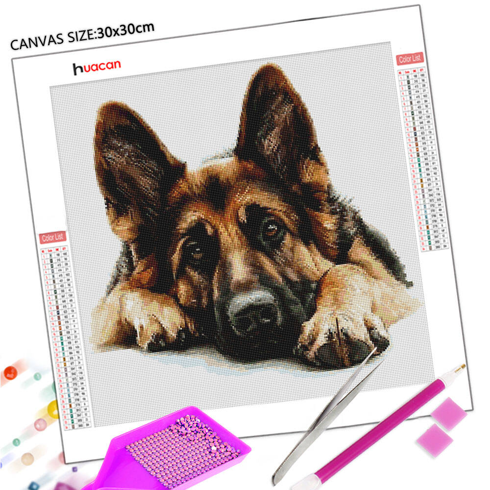 Huacan 2025 nova coleção pintu - Germany Home Decor avaliação e preço