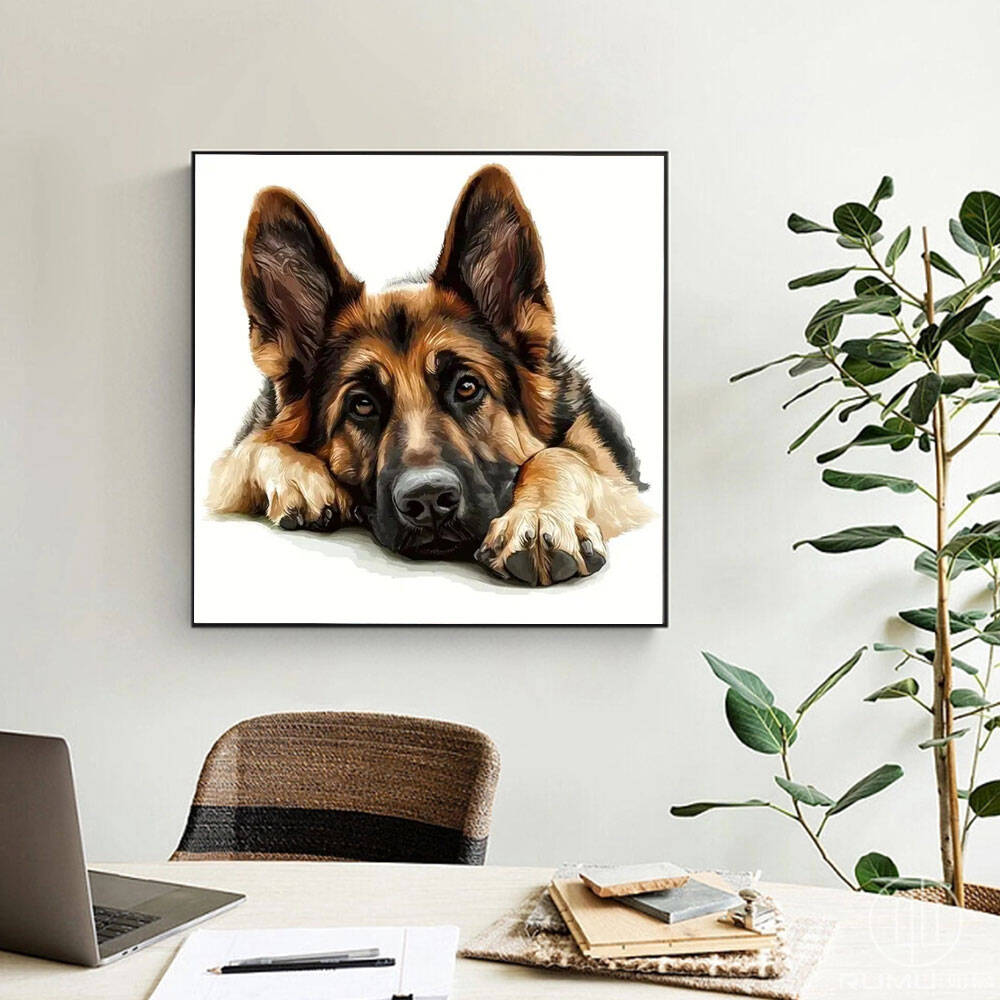 Huacan 2025 nova coleção pintu - Germany Home Decor avaliação e preço